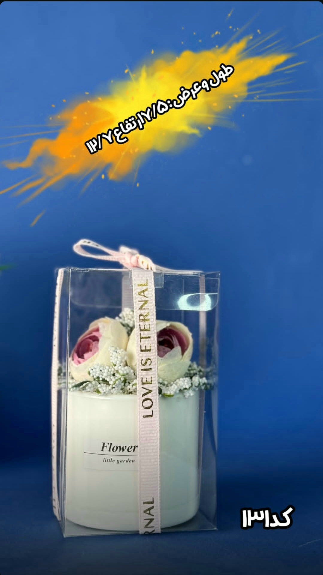 جعبه طلقی پک 50 عددی